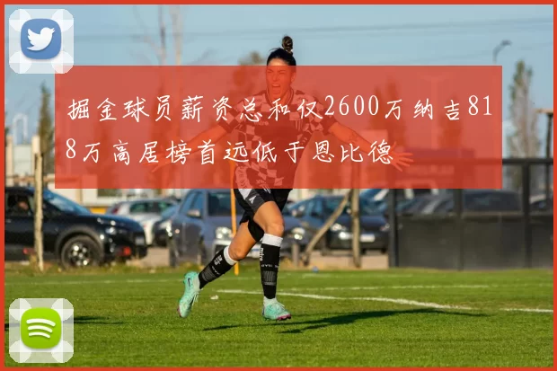掘金球员薪资总和仅2600万纳吉818万高居榜首远低于恩比德